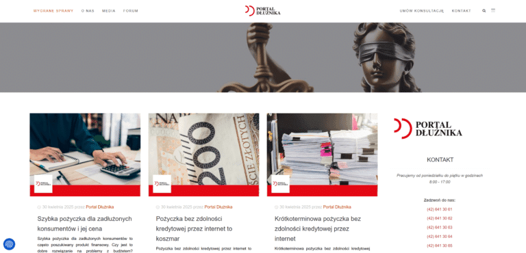 Sukces wdrożenia portal-dluznika.pl – case study