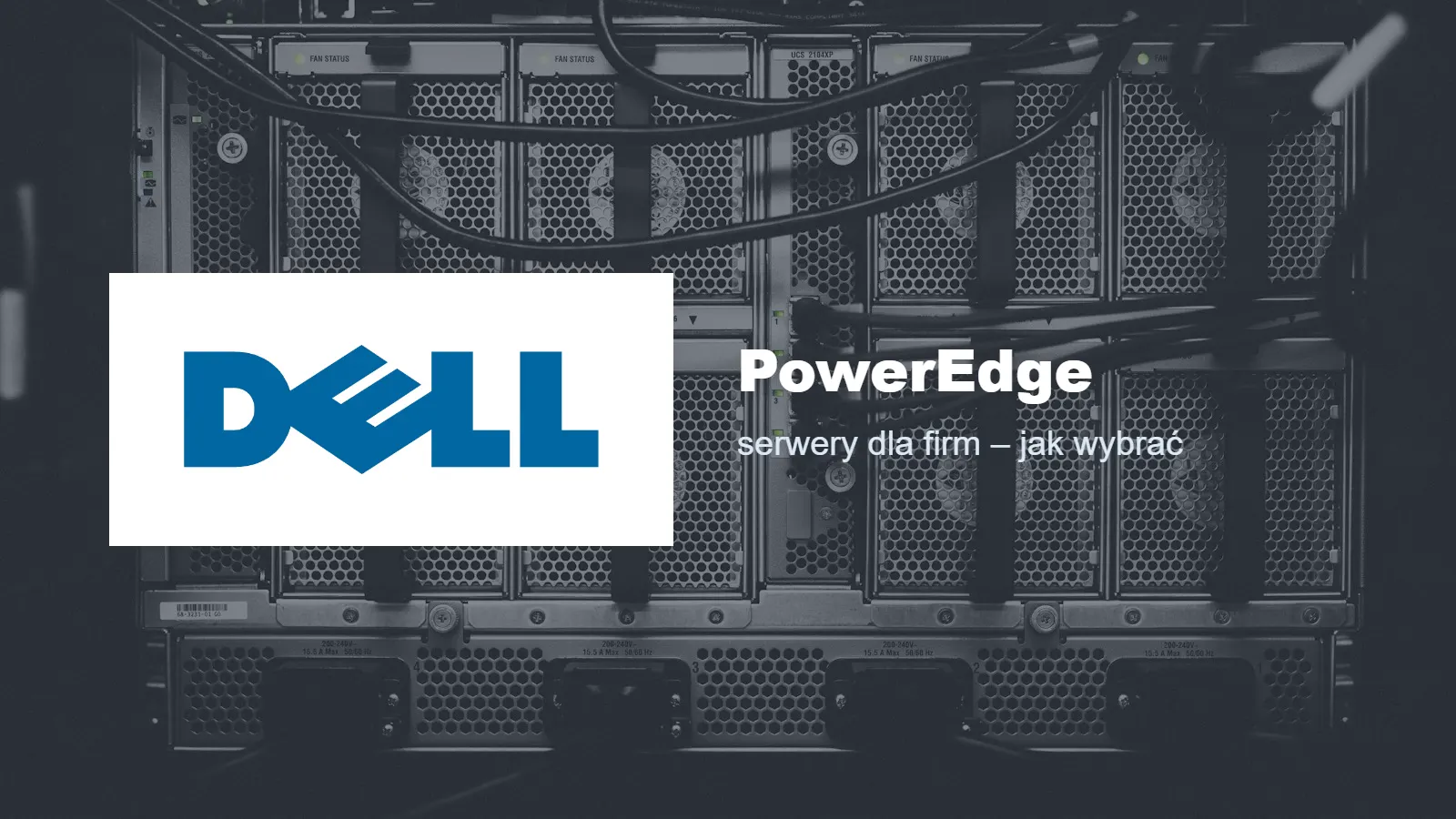 Serwery Dell PowerEdge dla firm – jak wybrać model i konfigurację